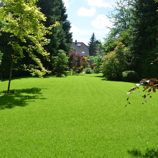 img_gruenpflege_rasen