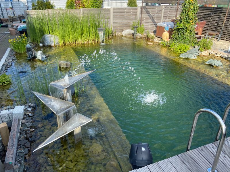 Schwimmteich / Pool von Mathies GalaBau